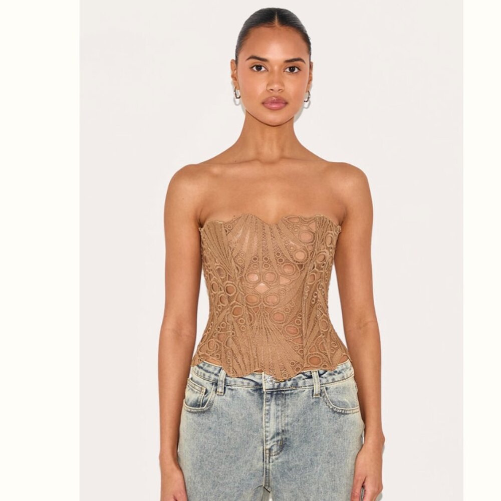 PLT Brown Textured Sheer Floral Lace Corset, 0